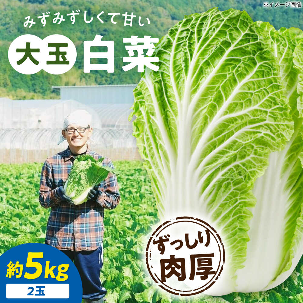 玉の白菜 agdh007.jpg