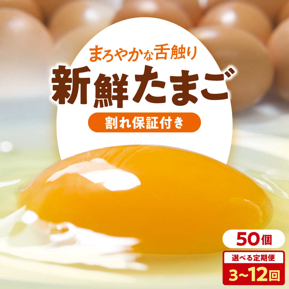 【ふるさと納税】 卵 【選べるお届け回数】 平飼い 海草たまご 5パック（50個入り）割れ保証あり 平飼い卵 こだわり卵 TKG 玉子焼き 国産 愛媛県大洲市/和田養鶏場[AGDQ008] 卵 定期便 卵かけご飯 たまご タマゴ 鶏卵 卵料理 玉子 新鮮 愛媛県産 大洲市産 産地直送｜愛媛県大洲市