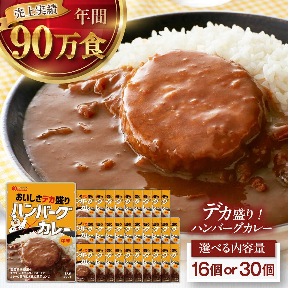 【ふるさと納税】【選べる容量】ハンバーグカレーセット（16食・30食） 愛媛県大洲市/トリゼンフーズ株式会社 レトルトカレー ハンバーグ 総菜 常温 [AGDT030] 10000 1万円｜愛媛県大洲市
