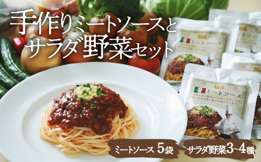 【ふるさと納税】野菜 詰め合わせ サラダ野菜セット ×シェフ自慢の ミートソース（ 135g × 5袋 ） | 人気 おすすめ おいしい 栽培期間中 農薬不使用 旬野菜 新鮮 ご当地グルメ 甘辛 チルド パスタ 大洲市/ヒロファミリーフーズ[AGBX034] 20000 20000円 以上