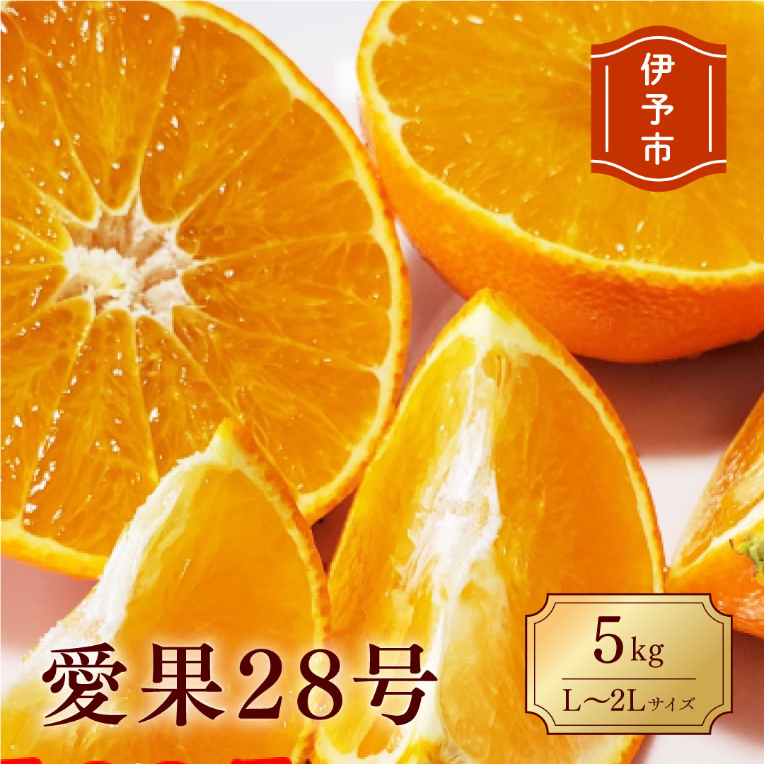 【ふるさと納税】みかん 愛媛 愛果28号 5kg 贈答用 L～2L キャップ付き 人気 数量限定 先行予約 柑橘 伊予市 【2025年12月から順次発送予定】｜B84