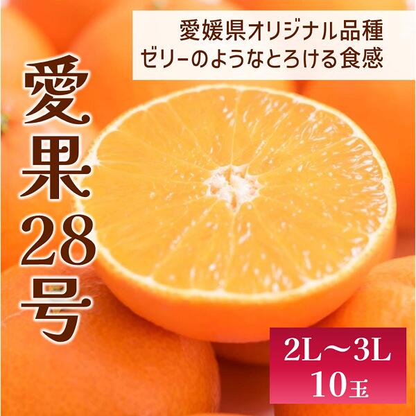 【ふるさと納税】愛果28号 10玉入り 2L～3L 先行予約 12月以降順次発送予定 愛媛 数量限定 愛媛県産 人気 柑橘 伊予市｜C56