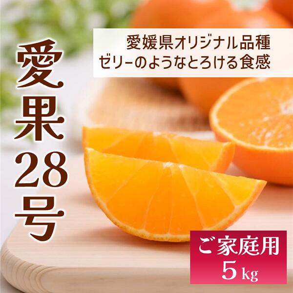【ふるさと納税】愛果28号 バラ詰め 5kg 先行予約 12月以降順次発送予定 愛媛 数量限定 愛媛県産 人気 柑橘 伊予市｜C57