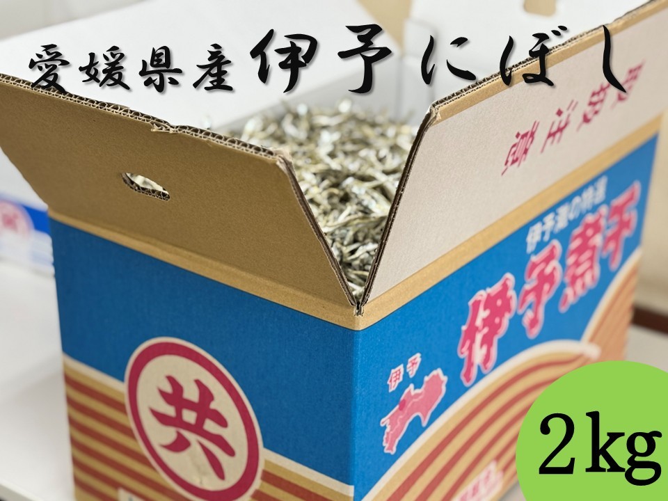 【ふるさと納税】伊予煮干 いりこ 2kg 【10月以降発送】 伊予灘産 瀬戸内海 出汁 料理 おやつ カルシウム 健康 サクサク食感 海の幸 海産物 乾物 魚介類 おつまみ 保存食 特産品 愛媛 伊予市｜B422