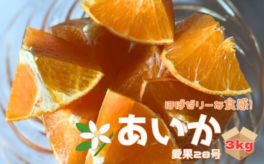【ふるさと納税】 愛果28号 3kg ご家庭用 みかん 愛媛 【2025年12月から順次発送】 先行予約 数量限定 愛媛県産 人気 柑橘 伊予市｜B246