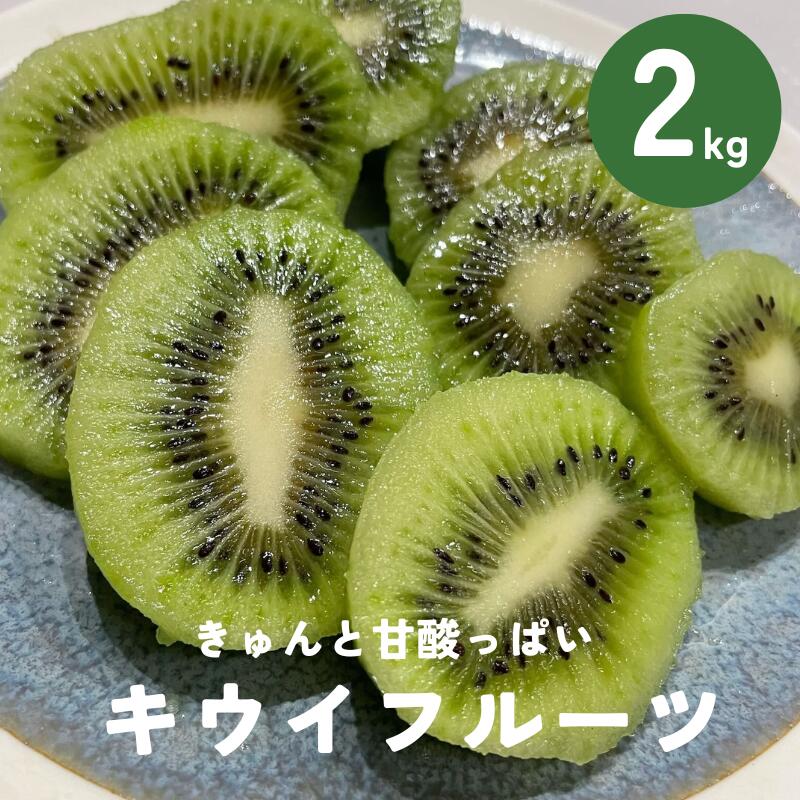 【ふるさと納税】キウイ 2kg 愛媛 国産キウイフルーツ ヘイワード 【2025年11月発送】 数量限定 伊予市｜A20