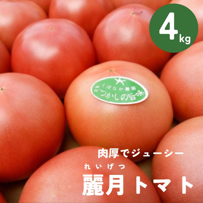 【ふるさと納税】トマト 4kg 20玉～28玉 麗月 くぼなか農園 | B362