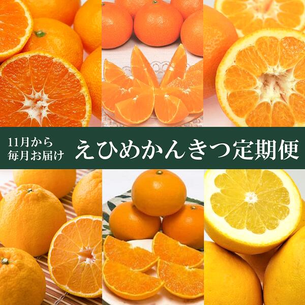 【ふるさと納税】えひめかんきつ定期便（全６回）柑橘 紅まどんな 日の丸みかん 伊予柑 デコポン せとか 河内晩柑  | F01