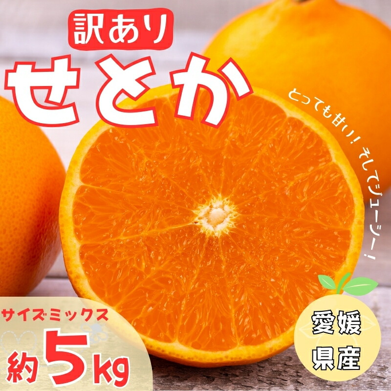 【ふるさと納税】【2027年先行予約】訳あり せとか 5kg ご家庭用 【2027年2月中旬以降発送予定】 みかん 人気 数量限定 愛媛 柑橘 伊予市｜B146｜愛媛県伊予市