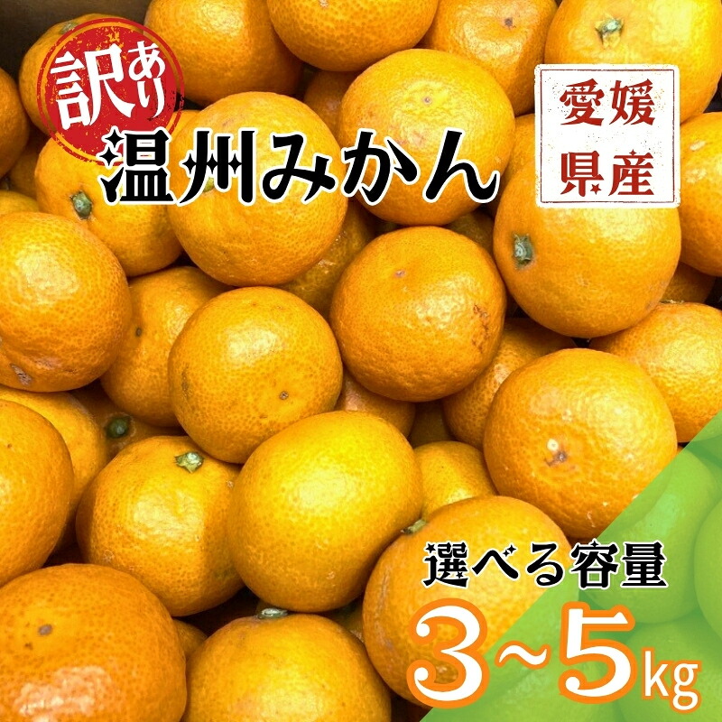 【ふるさと納税】【2026年先行予約】訳あり 温州みかん 【選べる容量】3kg 5kg ご家庭用 【2026年11月上旬以降発送】 人気 愛媛 みかん 柑橘 伊予市｜愛媛県伊予市