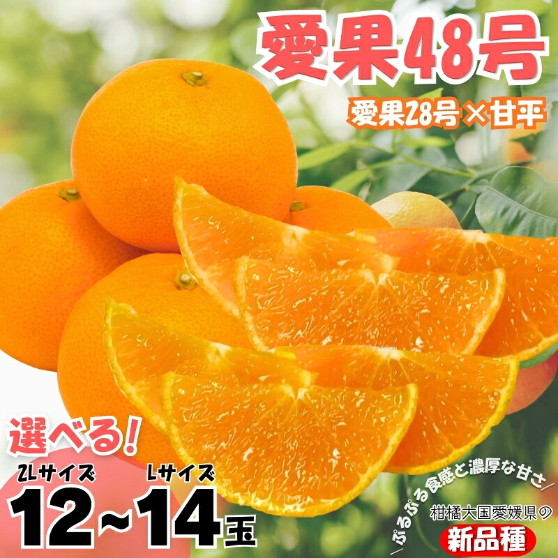 【ふるさと納税】【2027年先行予約】みかん 愛果48号 【サイズが選べる】 L～2Lサイズ 贈答用 【2027年3月中旬より順次発送予定】 紅プリンセスと同一品種 農園直送 愛媛 数量限定 愛媛県産 人気 柑橘 伊予市｜愛媛県伊予市