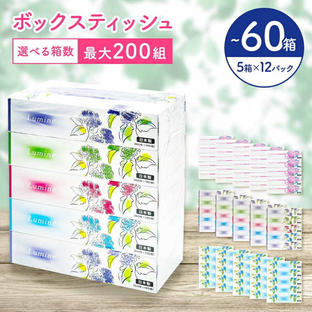 【ふるさと納税】ティッシュペーパー ティッシュ ティシュー ボックス 60箱 5個×12パック ルミネ やわらか 高品質 ティッシュペーパー ティシューペーパー デザインボックス 日用品 備蓄 防災 送料無料 愛媛県 四国中央|愛媛県四国中央市