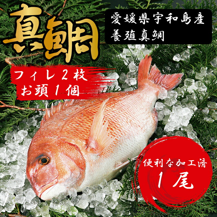 【ふるさと納税】愛媛県産養殖真鯛フィレ2枚(お頭付き冷凍)