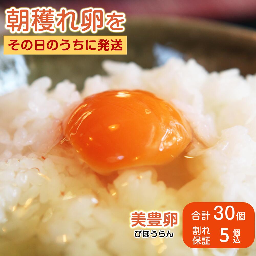 【ふるさと納税】 たまご 卵 タマゴ 30個 美豊卵 熊福 こだわり ふっくら 濃厚 朝穫れ ふるさと納税 送料無料 【四国中央市 日本一 紙のまち】