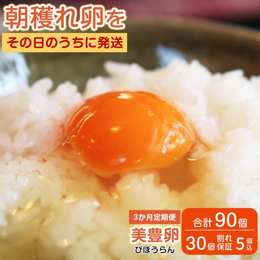 【ふるさと納税】【3か月定期便】たまご 卵 美豊卵 熊福 30個 定期便 玉子 タマゴ 鶏卵 オムレツ 卵かけご飯 朝食 料理 人気 たまご焼き TKG たまごかけごはん エッグ ふるさと納税 送料無料 【四国中央市 日本一 紙のまち】