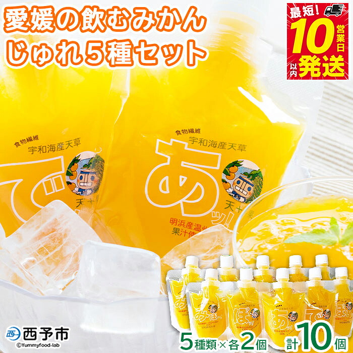 【ふるさと納税】＜愛媛の飲むみかんじゅれ 5種セット 計10個(5種類×各2個)＞ 飲むゼリー 果物 温州みかん 伊予柑 デザート スイーツ あけはまシーサイドサンパーク 贈答用 愛媛県西予市【常温】『最短10営業日以内に順次発送予定』 12,160円