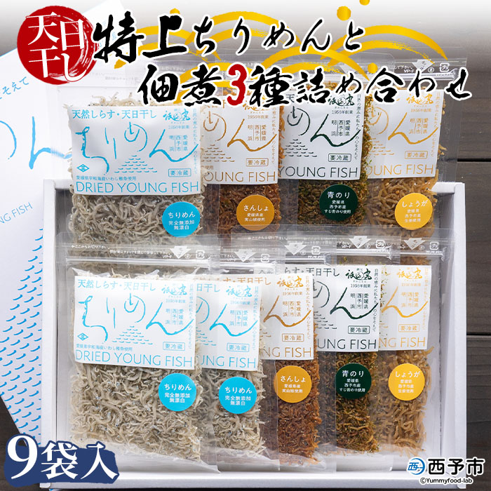 【ふるさと納税】＜天日干し ちりめん＆佃煮3種 詰め合わせ 合計9袋セット ギフト箱入り＞しらす じゃこ つくだに 実山椒 しょうが ショウガ 生姜 青のり 詰合せ 海産物 おにぎり ご飯 具材 おつまみ 贈答 網元・祇園丸 愛媛県 西予市【冷蔵】『1か月以内に順次出荷』