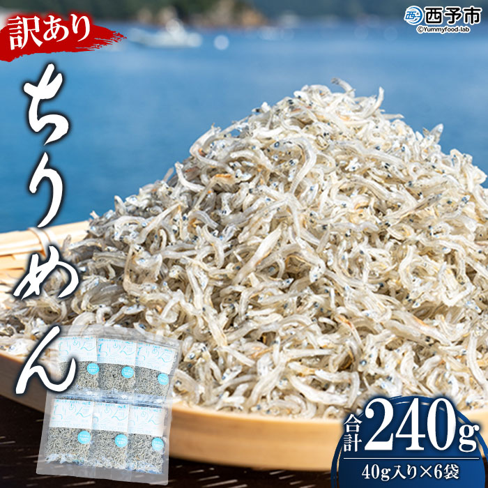 【ふるさと納税】＜訳あり ちりめん 合計240g（40g入り×6袋）＞ しらす シラス じゃこ 小分け おすそ分け 魚 さかな 小魚 海産物 水産加工品 おにぎり 具材 おつまみ おやつ ご家庭用 のし 特産品 網元・祇園丸 愛媛県 西予市【冷蔵】『1か月以内に順次出荷予定』