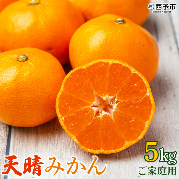 【楽天市場】【ふるさと納税】＜愛媛県明浜産 天晴 みかん 10kg＞※2022年11月中旬から12月下旬迄に順次出荷予定 訳あり 温州 果物 オレンジ  天晴農園 食べて応援 特産品 愛媛県 西予市 【常温】 : 愛媛県西予市