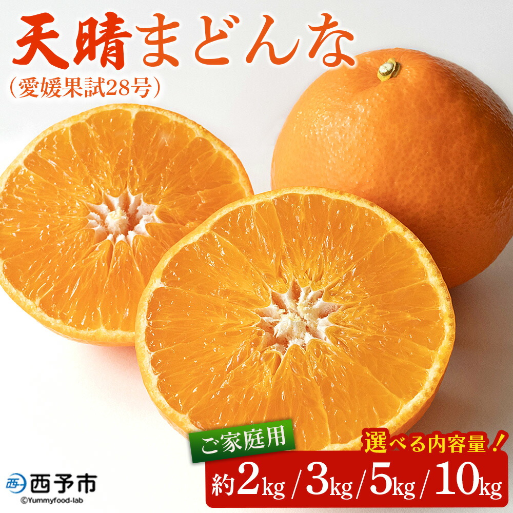 【ふるさと納税】【先行予約】紅まどんなと同品種!<天晴まどんな(愛媛果試28号)ご家庭用 約2kg/3kg/5kg/10kg> マドンナ 訳あり 果物 くだもの フルーツ みかん ミカン 柑橘 笑丸 特産品 愛媛県 西予市【常温】『2026年12月上旬~12月中旬迄に順次出荷予定』|愛媛県西予市