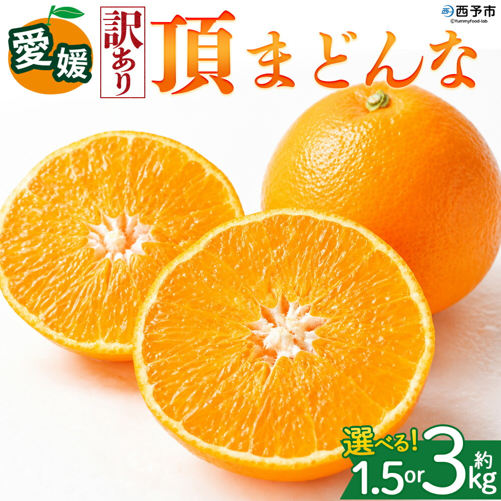 【ふるさと納税】＜【訳あり】愛媛県産 頂まどんな 約1.5kg／3kg＞『2026年11月下旬～1月上旬迄順次発送予定』 選べる 容量 内容量 わけあり マドンナ 高級柑橘 みかん 蜜柑 果物 くだもの フルーツ ミカン 果汁 国産 特産品 株式会社三代目みかん職人 愛媛 西予市【常温】｜愛媛県西予市