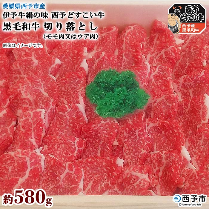【ふるさと納税】＜伊予牛絹の味西予どすこい牛 黒毛和牛 切り落とし（モモ肉又はウデ肉）約580g＞ ※1か月以内に順次出荷します。 スライス うで すき焼き プルコギ 焼肉 回鍋肉 食材 お祝い 内祝い 特産品 愛媛県 西予市 【冷凍】