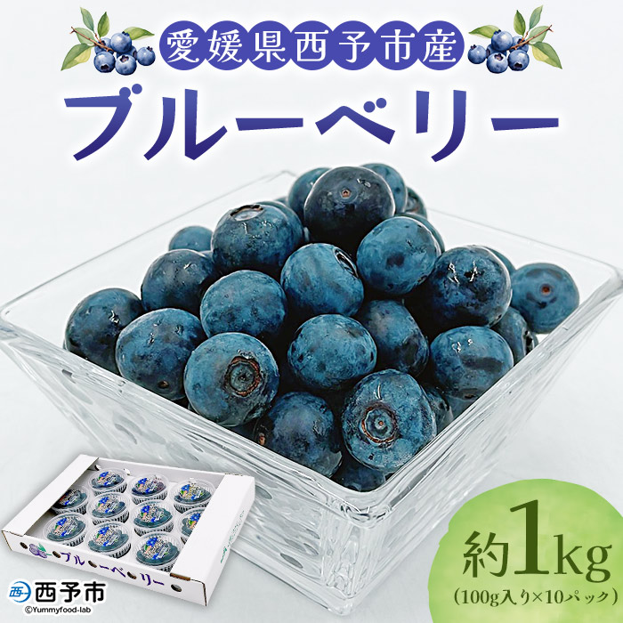 【ふるさと納税】＜愛媛県西予市産 ブルーベリー 約1kg（100g入り×10パック）＞ ぶるーべりー 果実 果物 生 くだもの フルーツ 国産 小分け ジャム スムージー 株式会社フジ・アグリフーズ 愛媛県 西予市【冷蔵】『2025年7月～8月末迄に順次出荷予定』