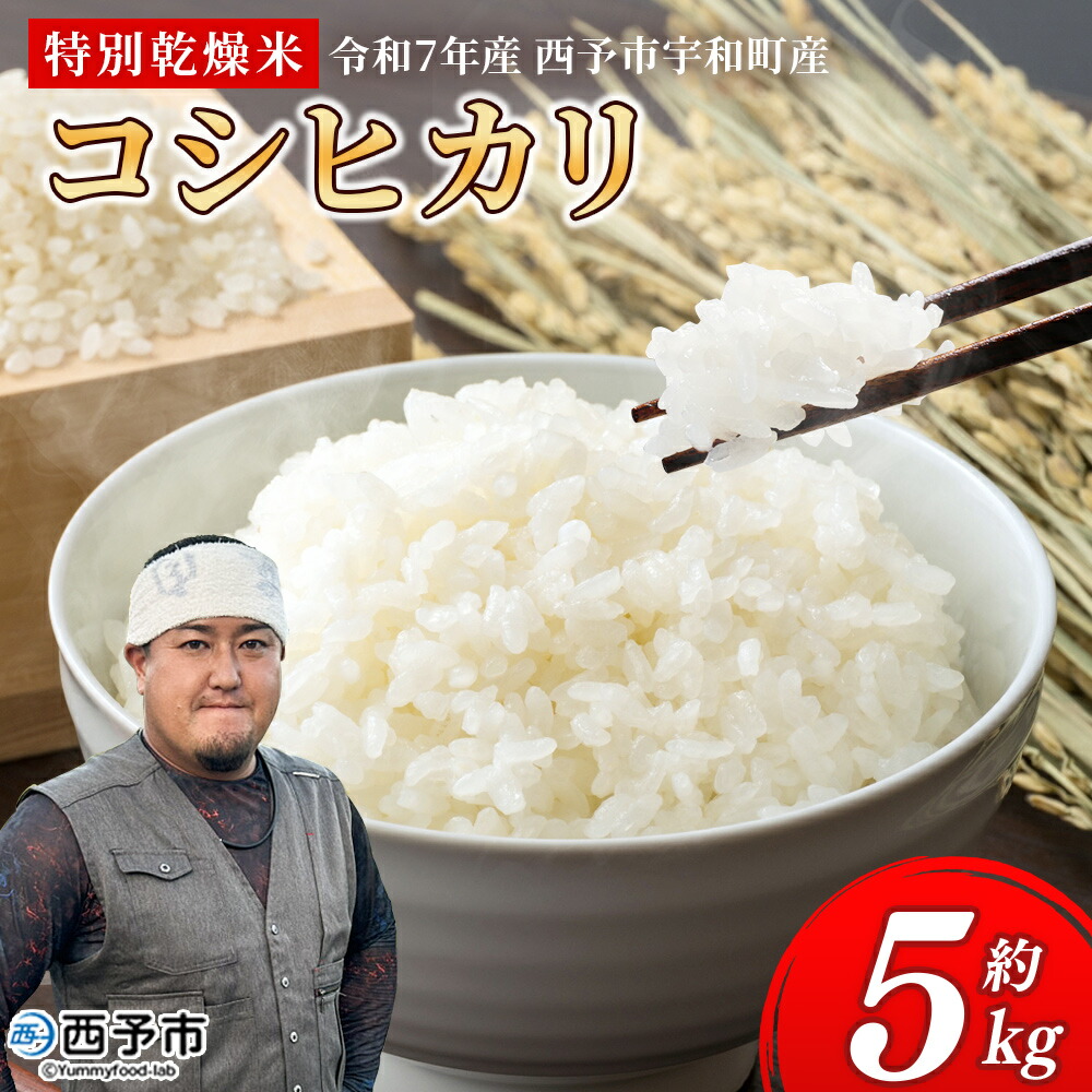 【ふるさと納税】<令和7年産 コシヒカリ 5kg>国産 白米 精米 5キロ 愛媛県産 宇和町産 宇和米 こしひかり お米 米 コメ こめ ご飯 うわまい ライス 特別乾燥米 産地直送 送料無料 特産品 福井ファーム 愛媛県 西予市【常温】『2025年12月中旬から順次発送予定』|愛媛県西予市