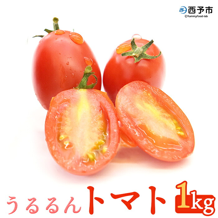 【ふるさと納税】<「うるるんトマト」約1kg(250g×4パック×1箱) 甘くて濃厚な味わい> 野菜 とまと ミニトマト 特産品 食べて応援 くまさん農園 愛媛県 西予市【常温】『1か月以内に順次出荷予定』