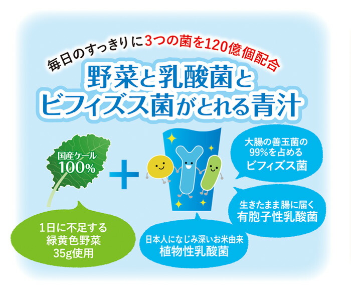 記念日 野菜と乳酸菌とビフィズス菌がとれる青汁 1箱 3.5g×30本入 ケール 粉末 すっきり 契約農家 健康 健康食品 野菜不足解消 グリーンヒル  愛媛県 西予市 1か月以内に順次出荷 aeroclubmardelplata.com.ar