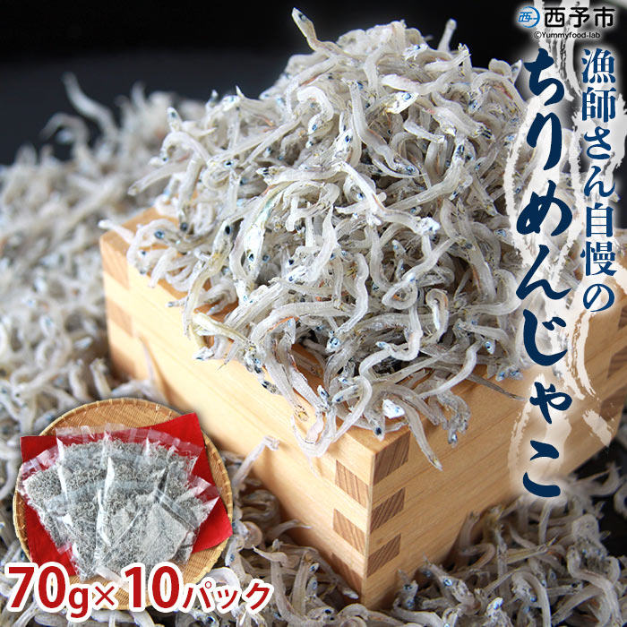 楽天市場】【ふるさと納税】＜老舗網元 浜田の ちりめん 計700g(70g×10