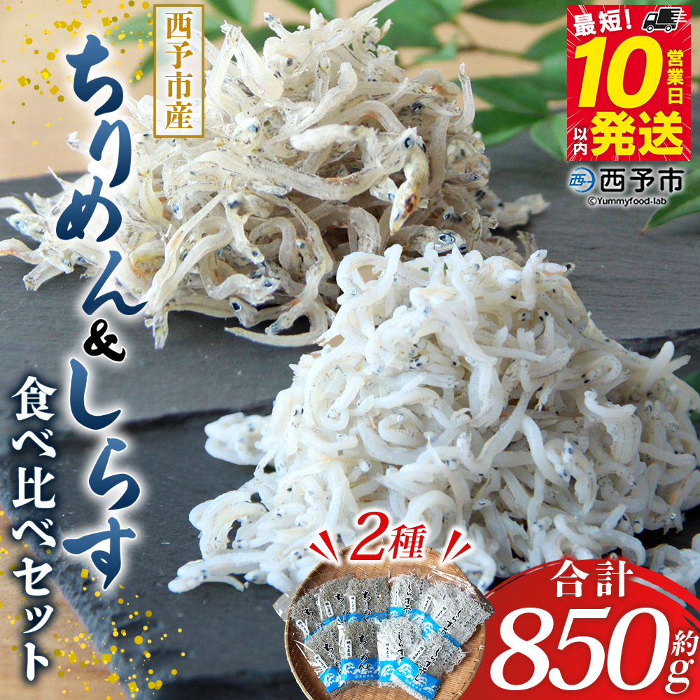 【ふるさと納税】<ちりめん&しらす干し 食べ比べセット 合計850g> 西予市産 詰め合わせ 70g×5 100g×5 シラス 魚介 海産物 海鮮 家庭用 贈答用 小分け 国産 特産品 産地直送 濱田水産 愛媛県 西予市【冷凍】『最短10営業日以内に発送予定』|愛媛県西予市