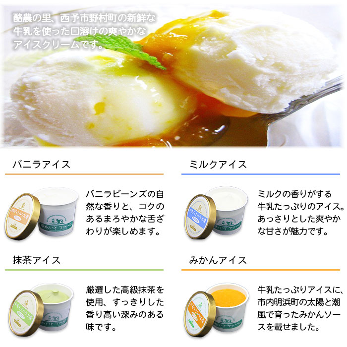 最高の ふるさと納税 ほわいとファームのアイスクリーム ホワイトロールケーキセット 1か月以内に順次出荷 デザート スイーツ 特産品 愛媛県 西予市 冷凍 50 Off