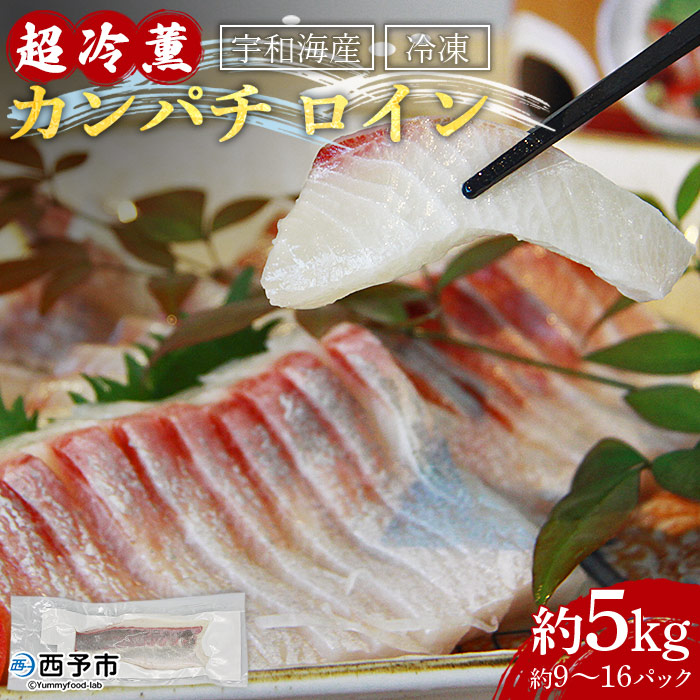 品質のいい メーカー直売 異次元の鮮度 宇和海産 超冷薫 冷凍カンパチ ロイン約5kg 9〜16パック ※1ヵ月以内にに順次出荷します 魚介 水産物 お刺身 煮物 焼き魚 血抜き 骨なし 個包装 お祝い 内祝い ダイニチ 愛媛県 西予市 designufabet.com designufabet.com