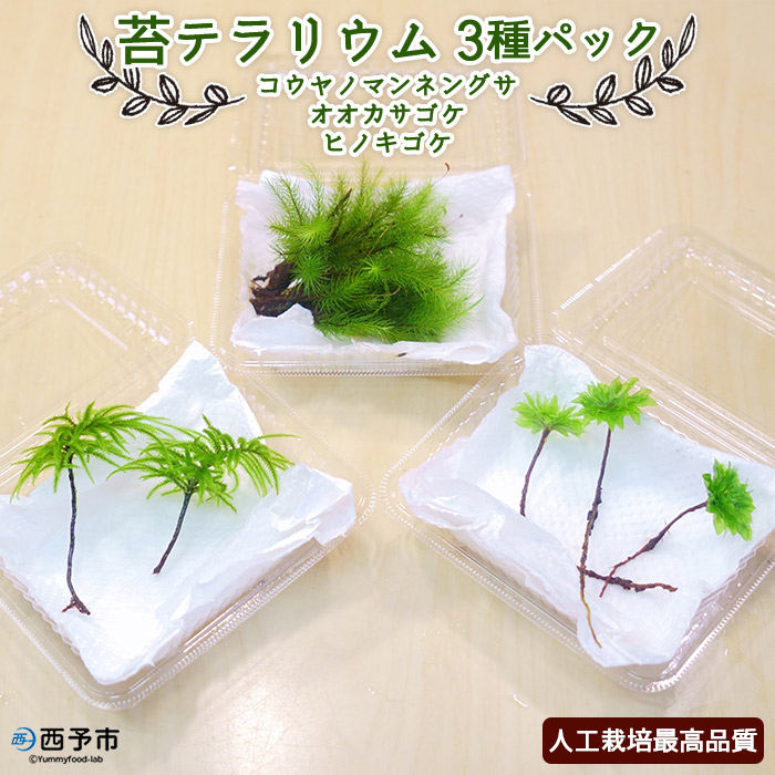 父の日特集【西予市 ふるさと納税】