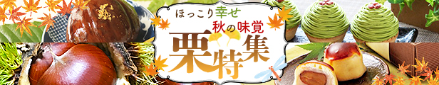 楽天市場】【ふるさと納税】 栗 スイーツ ＜抹茶＆オリジナルモンブラン 合計4個（各種2個入）＞ ※1か月以内に順次出荷致します。 マロン ケーキ  特産品 メニークエスト 愛媛県 西予市 【冷凍】 : 愛媛県西予市