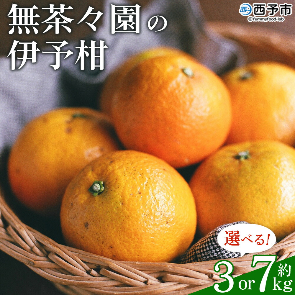 【ふるさと納税】先行予約 ＜無茶々園の伊予柑 約3kg／7kg＞ 果物 いよかん イヨカン みかん ミカン 蜜柑 柑橘 フルーツ 選べる内容量 期間限定 季節限定 特産品 愛媛県 西予市【常温】『2026年1月～2月に順次出荷予定』