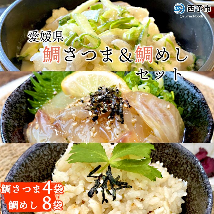 【ふるさと納税】＜愛媛県　鯛さつま＆鯛めしセット（鯛さつま4袋・鯛めし8袋）＞※1ヶ月以内に順次発送予定です。 魚 海産物 郷土料理 たい 丼 食べ比べ お祝い 野福 特産品 愛媛県 西予市 【冷凍】