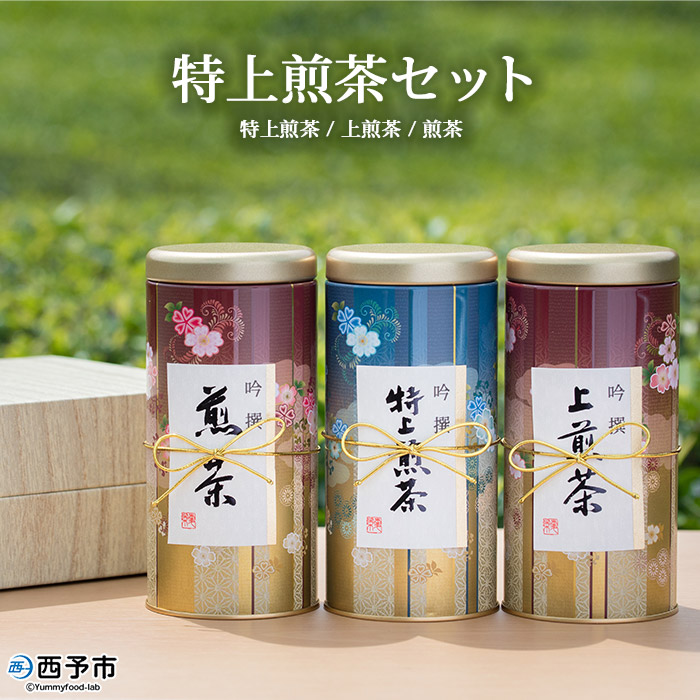 【ふるさと納税】<特上煎茶セット>※1か月以内に順次出荷します。 お茶 緑茶 日本茶 明芳園 特産品 愛媛県 西予市 【常温】