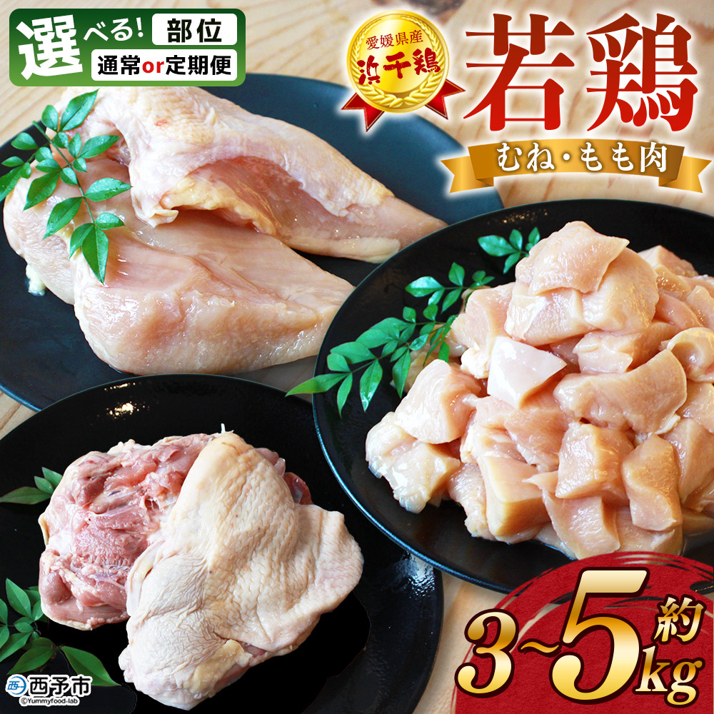 新品未開封】ネオハロビーム ショップ JDR110V75W/K5F 東芝 TOSHIBA