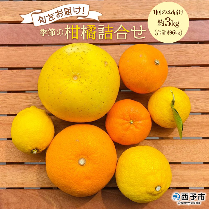 【ふるさと納税】＜旬をお届け！季節の柑橘詰合せ 2回定期便（約3kg×2回 合計約6kg）＞みかん ミカン 詰め合わせ 蜜柑 果物 フルーツ 食べ比べ 特産品 二ノ宮商事 愛媛県 西予市【常温】『1回目：2026年1月下旬～2月上旬／2回目：2026年2月下旬～3月上旬迄に順次出荷予定』