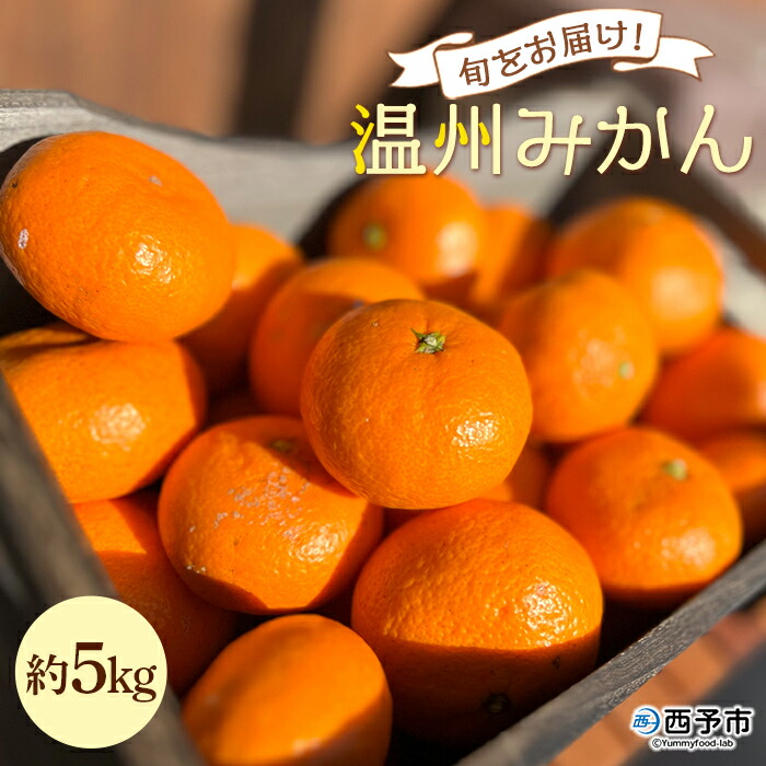 【ふるさと納税】＜旬をお届け！温州みかん 約5kg＞ 数量限定 ミカン 蜜柑 果物 柑橘類 果実 オレンジ フルーツ 早生 20号 手軽 特産品 国産 明浜産 二ノ宮商事株式会社 愛媛県 西予市【常温】『2025年11月上旬～12月中旬迄に順次出荷予定』
