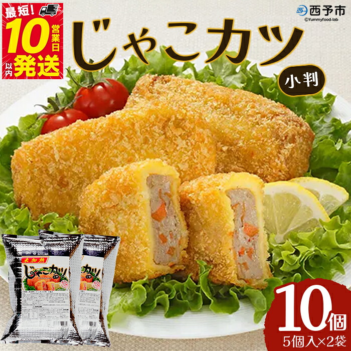 【ふるさと納税】<じゃこカツ小判(未加熱)5個入り×2袋> 合計10個 お惣菜 小魚 さかな 魚介 すり身 じゃこ天 フライ 揚げ物 加工品 特産品 おつまみ おかず お弁当 バーガー カレー 国産 おがた蒲鉾 愛媛県 西予市 【冷凍】『最短10営業日以内に順次発送予定』|愛媛県西予市