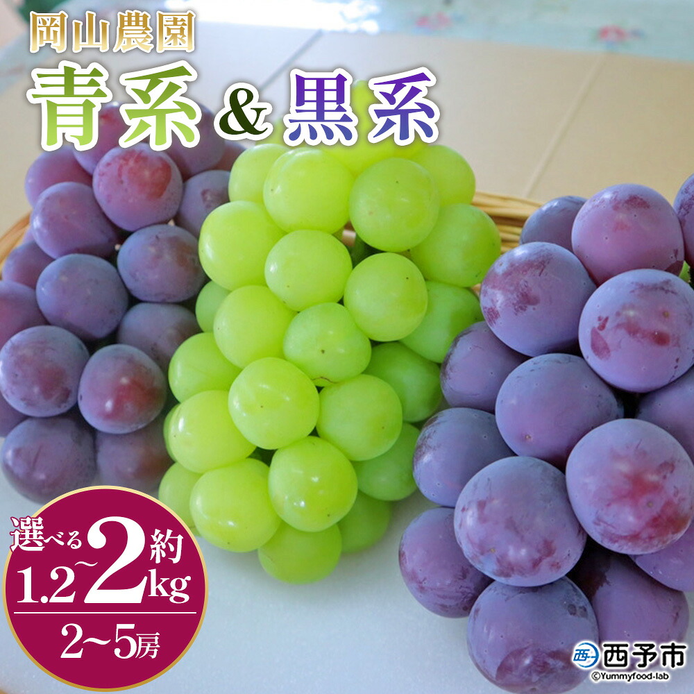 【ふるさと納税】<青系&黒系ぶどうセット>選べる 内容量 約1.2kg 約2kg 2房~5房 果物 くだもの フルーツ 大粒 大きい 葡萄 ブドウ 果肉 果実 青果 濃厚 甘み 甘い 食べ比べ 贈り物 贈答 ギフト 岡山農園 愛媛県 西予市【冷蔵】『2026年8月中旬~9月下旬迄に順次出荷』