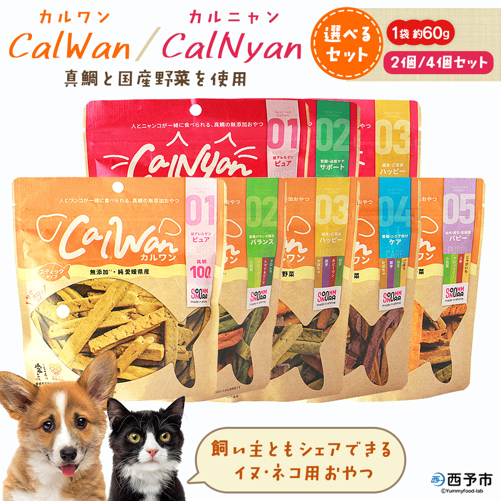 父の日特集【西予市 ふるさと納税】
