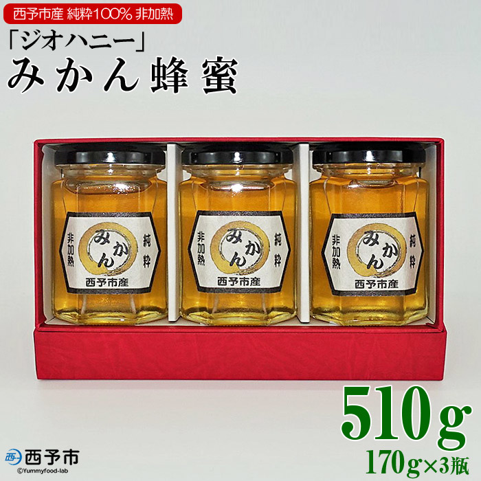 【ふるさと納税】＜みかん蜂蜜「ジオハニー」170g×3瓶＞※1か月以内に順次出荷 はちみつ みかん 柑橘 非加熱 純粋100％ 愛媛県 西予市 【常温】