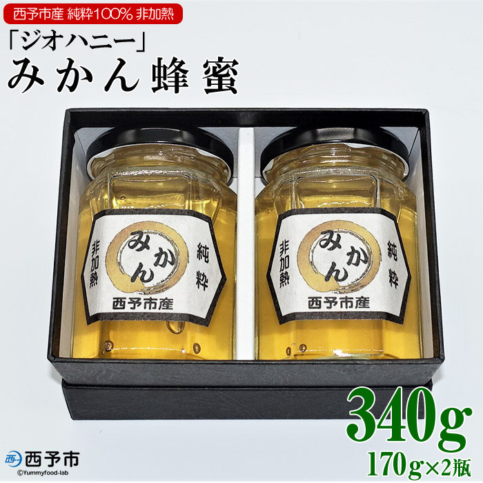 【ふるさと納税】＜みかん蜂蜜「ジオハニー」170g×2瓶＞※1か月以内に順次出荷 はちみつ みかん 柑橘 非加熱 純粋100％ 愛媛県 西予市 【常温】