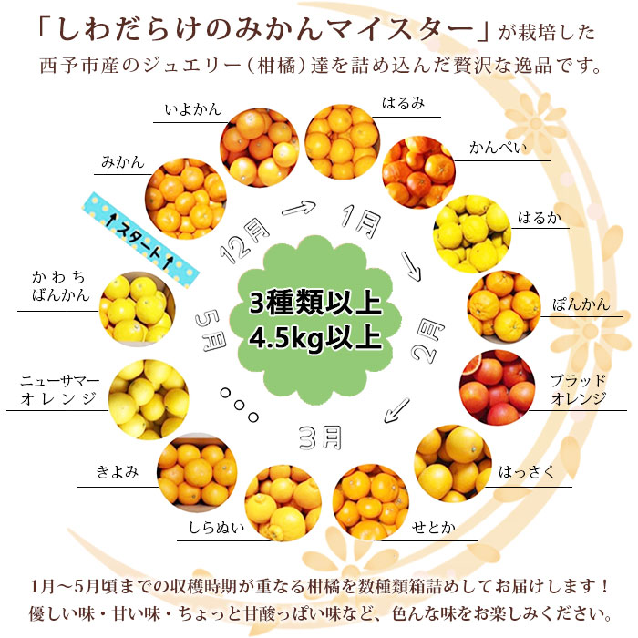 代引不可 ジュエリーボックス 柑橘編 柑橘多品種 計4 5kg 1か月以内に順次出荷します みかん ミカン せとか きよみ いよかん ばんかん はるか 果物 フルーツ デザート 渡江から一歩を踏み出す会 特産品 愛媛県 西予市 常温 愛媛県西予市 爆売り