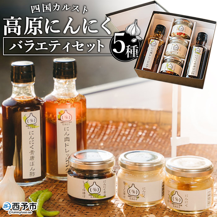 【ふるさと納税】＜四国カルスト 高原にんにく バラエティセット 5種＞ ニンニク 国産 野菜 醤油 福地ホワイト六片種 青唐辛子 ぽん酢 塩麹 ピクルス チョレギ ドレッシング つまみ 漬け タレ ご飯のお供 調味料 (株)祐 愛媛県 西予市 【常温】『1か月以内に順次出荷予定』