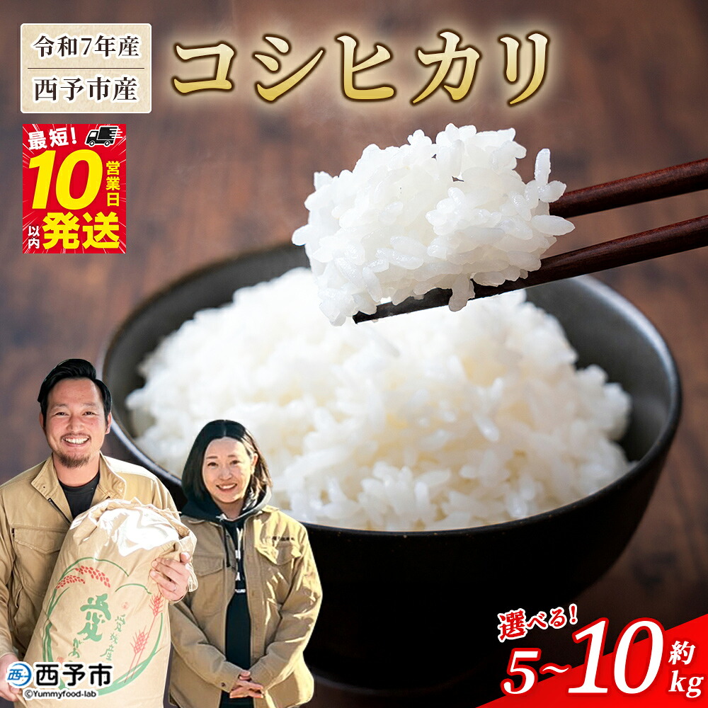 【ふるさと納税】＜令和7年産 西予市産 コシヒカリ 約5kg/10kg＞ 選べる 内容量 お米 米 コメ こめ 白米 精米 ご飯 穀物 こしひかり 5キロ 10キロ 特産品 愛媛県産 株式会社宇都宮米穀 愛媛県 西予市【常温】『最短10営業日以内に順次出荷予定』｜愛媛県西予市